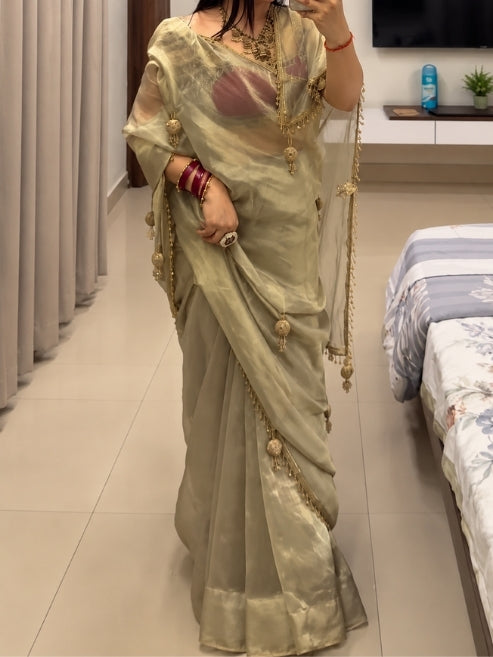 Designer Fandy Organza Saree with Jhumka Work Lace Border & Contrast Blouse