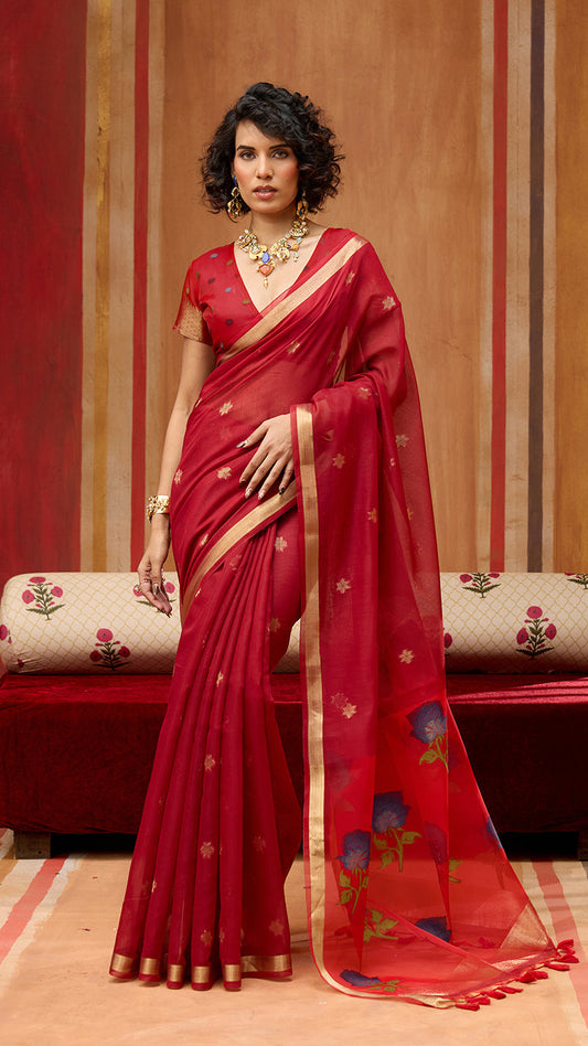 cotton saree with organza pallu 