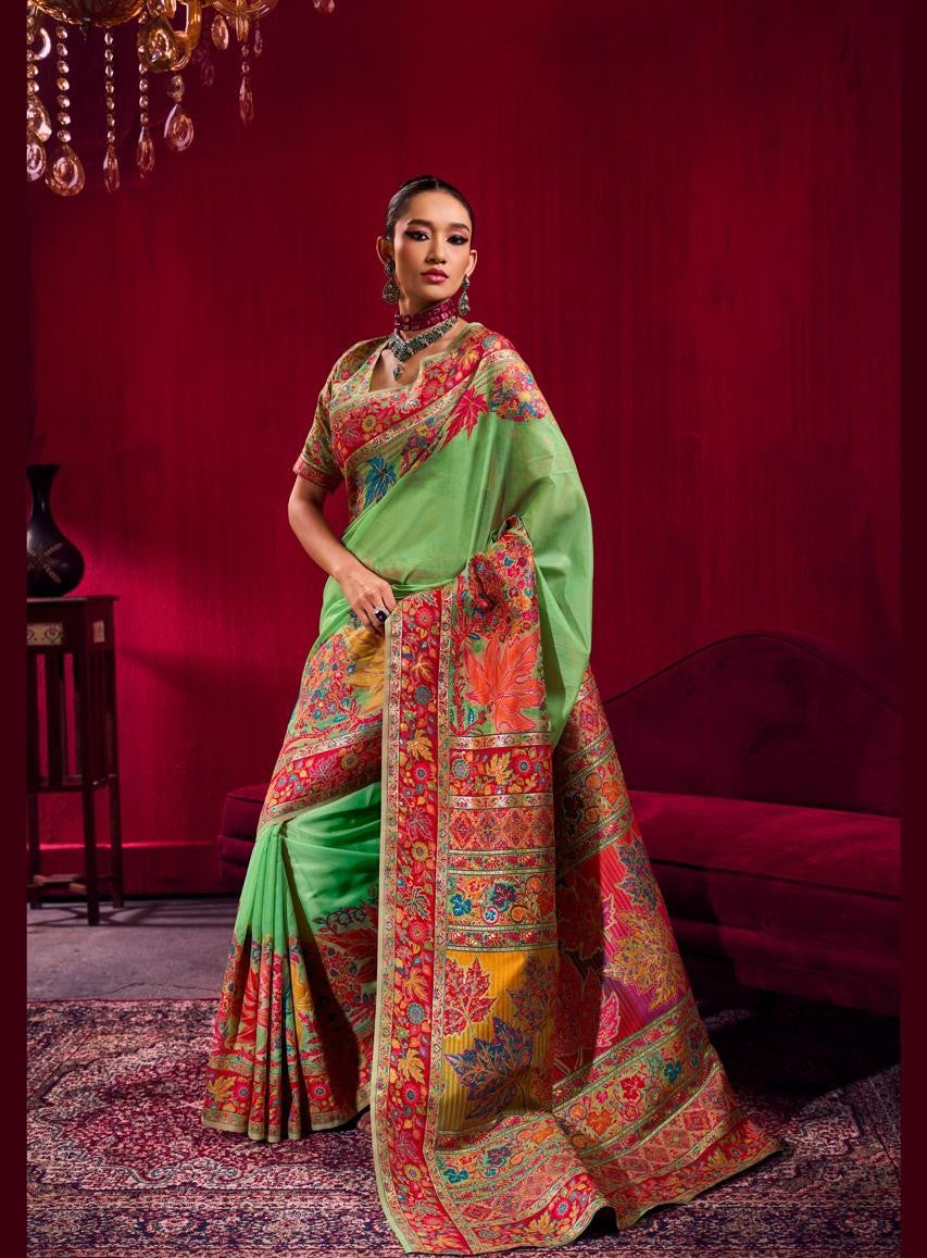 Woman wearing a green saree with a colorful pattern against a red background
