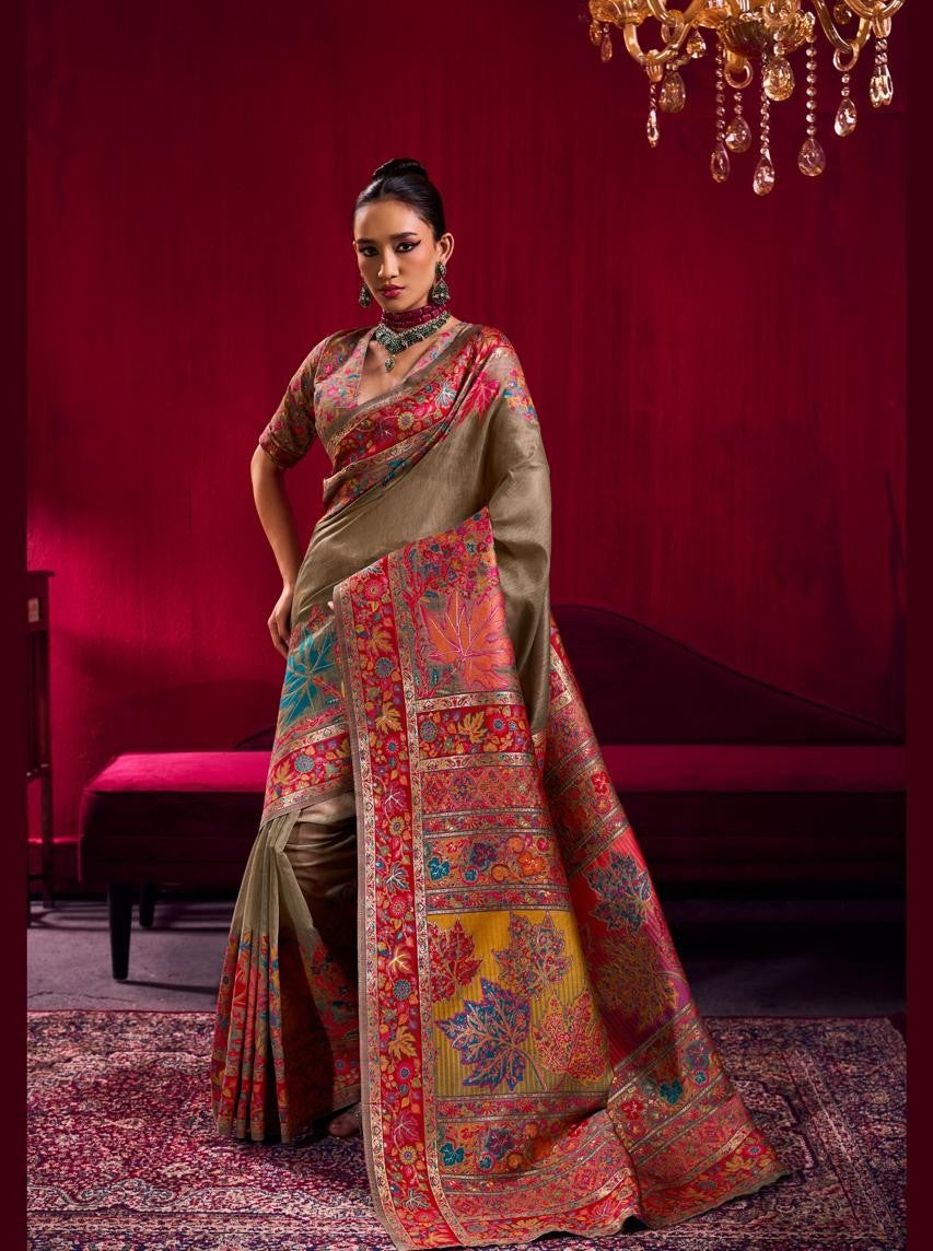 Woman in a traditional saree with a red background